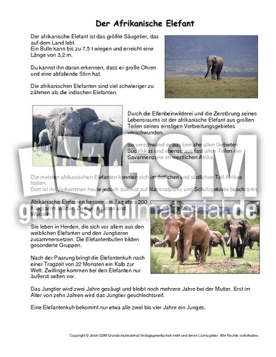 Afrikanischer-Elefant-Steckbrief.pdf